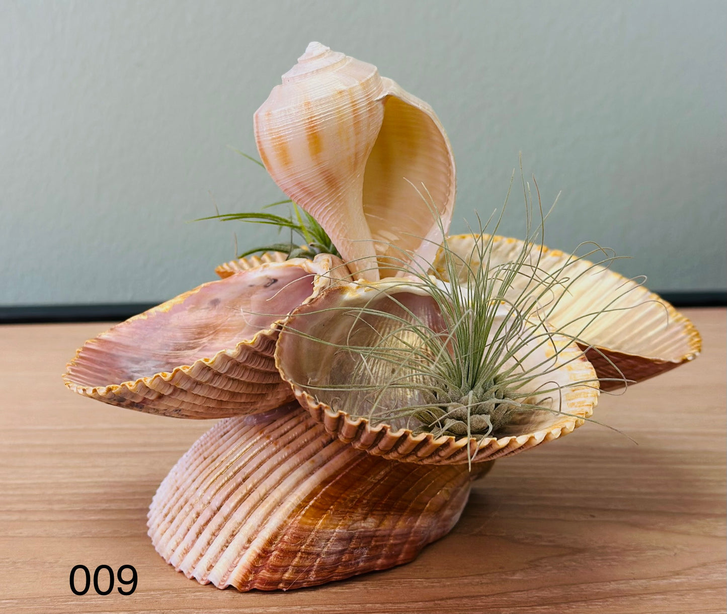 Jewelry Holder 009