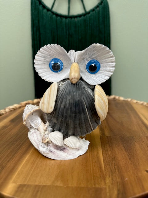 Joy By the Sea Owl 008