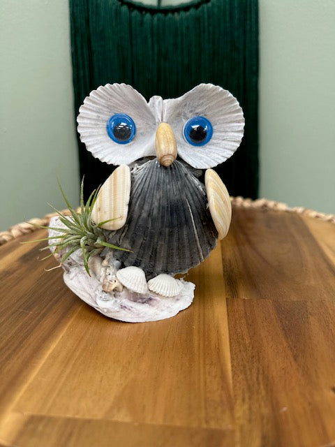 Joy By the Sea Owl 008