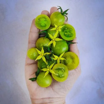 Green Doctors Green Cherry Tomato